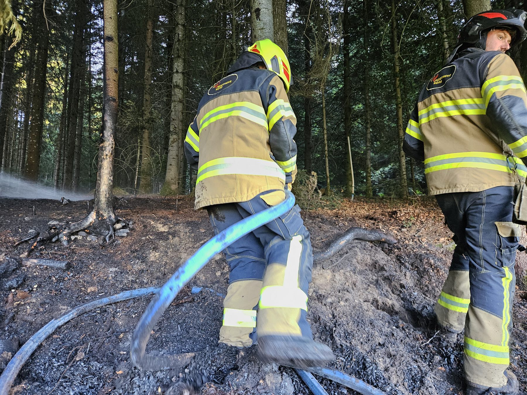 Löscharbeiten bei einem Waldbrand oberhalb Enggistein
