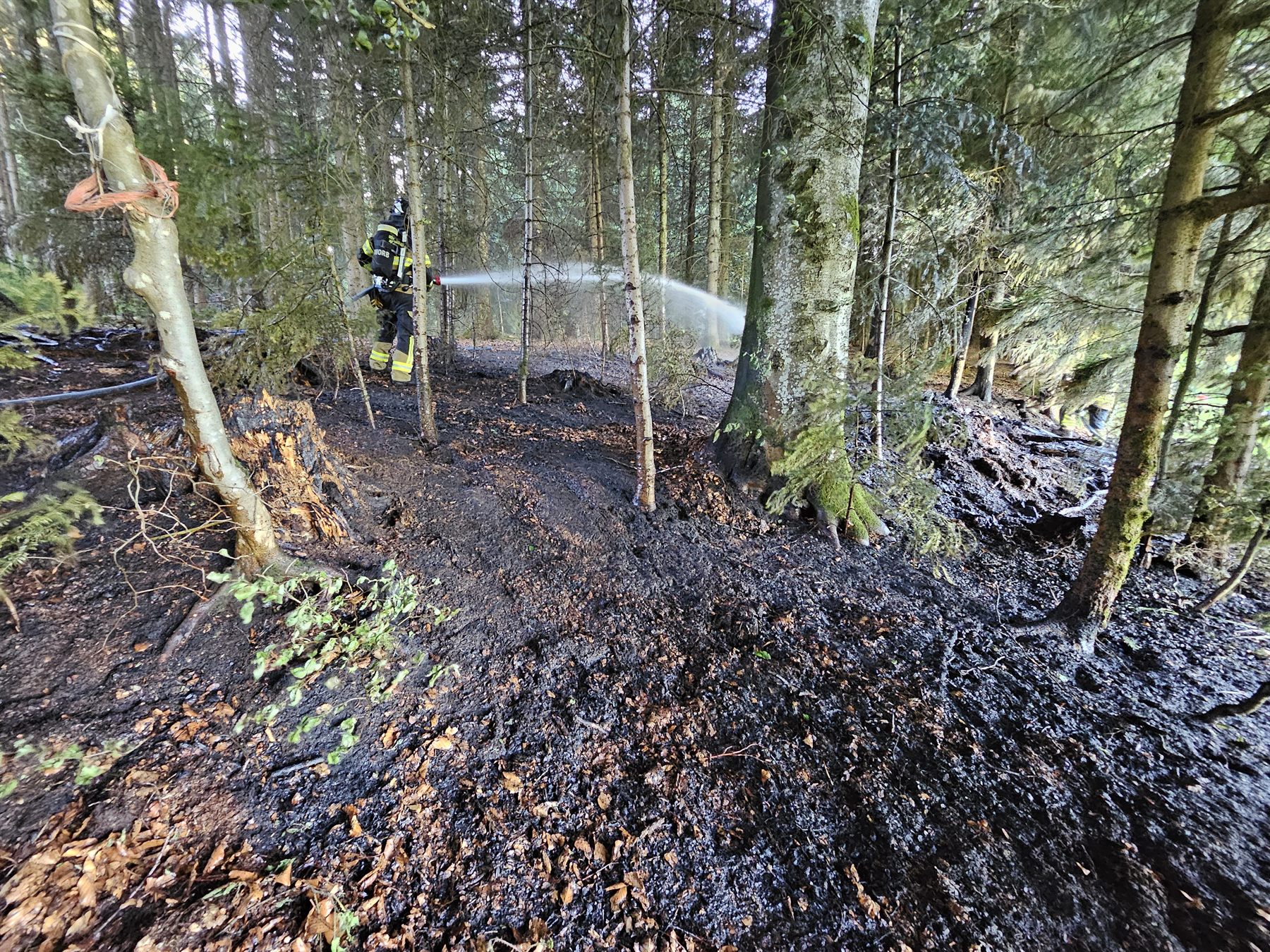 Nachlöscharbeiten im Waldboden